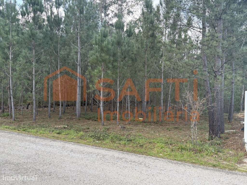 Terreno para construção | 2.760 m² | Charneca - Pombal - Grande imagem: 4/12
