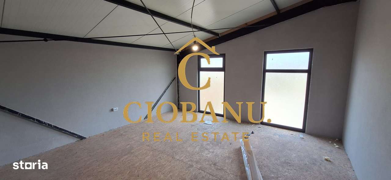 Hala de vanzare in Racari de Jos-5