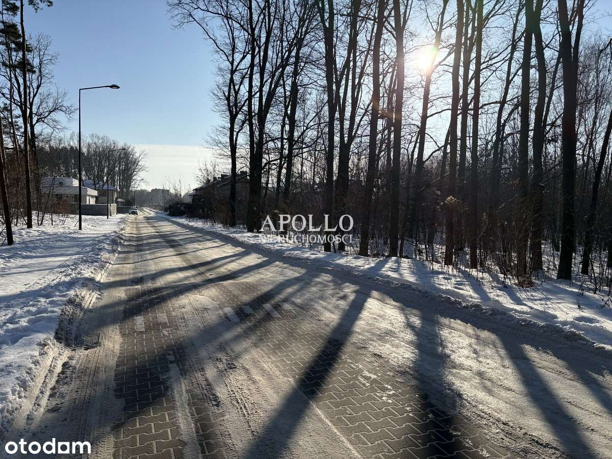 MIĘDZYLESIE - działka pod kameralną inwestycję seg-10