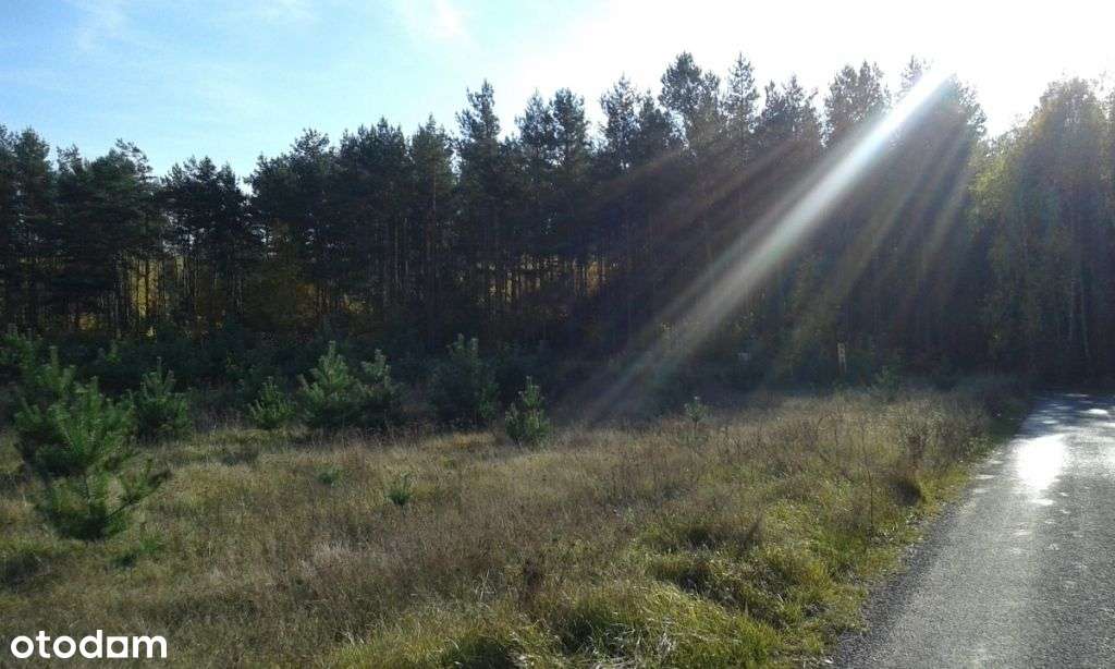 Działka, 1 100 m², Piastowo - Pełny obrazek: 4/4