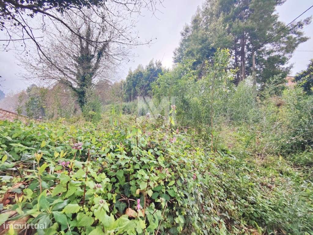 Terreno destinado a construção para venda em Venade - Caminha - Grande imagem: 5/6