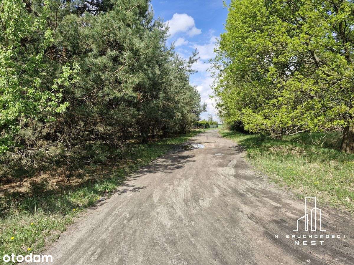 Piękna działka w pobliżu lasu