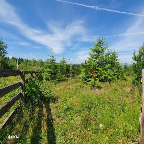 Două loturi a cate 6 terenuri în Călățele-Pădure, | 3526 mp - 1728 mp-5