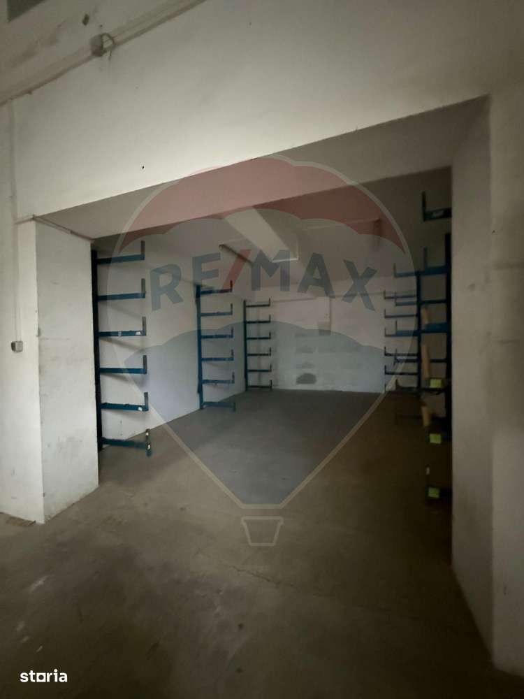 Hala - zona KAUFLAND Burdujeni-3