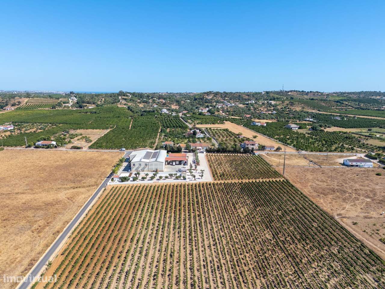 Herdade Vitivinícola de Excelência no Coração do Algarve - Grande imagem: 4/60