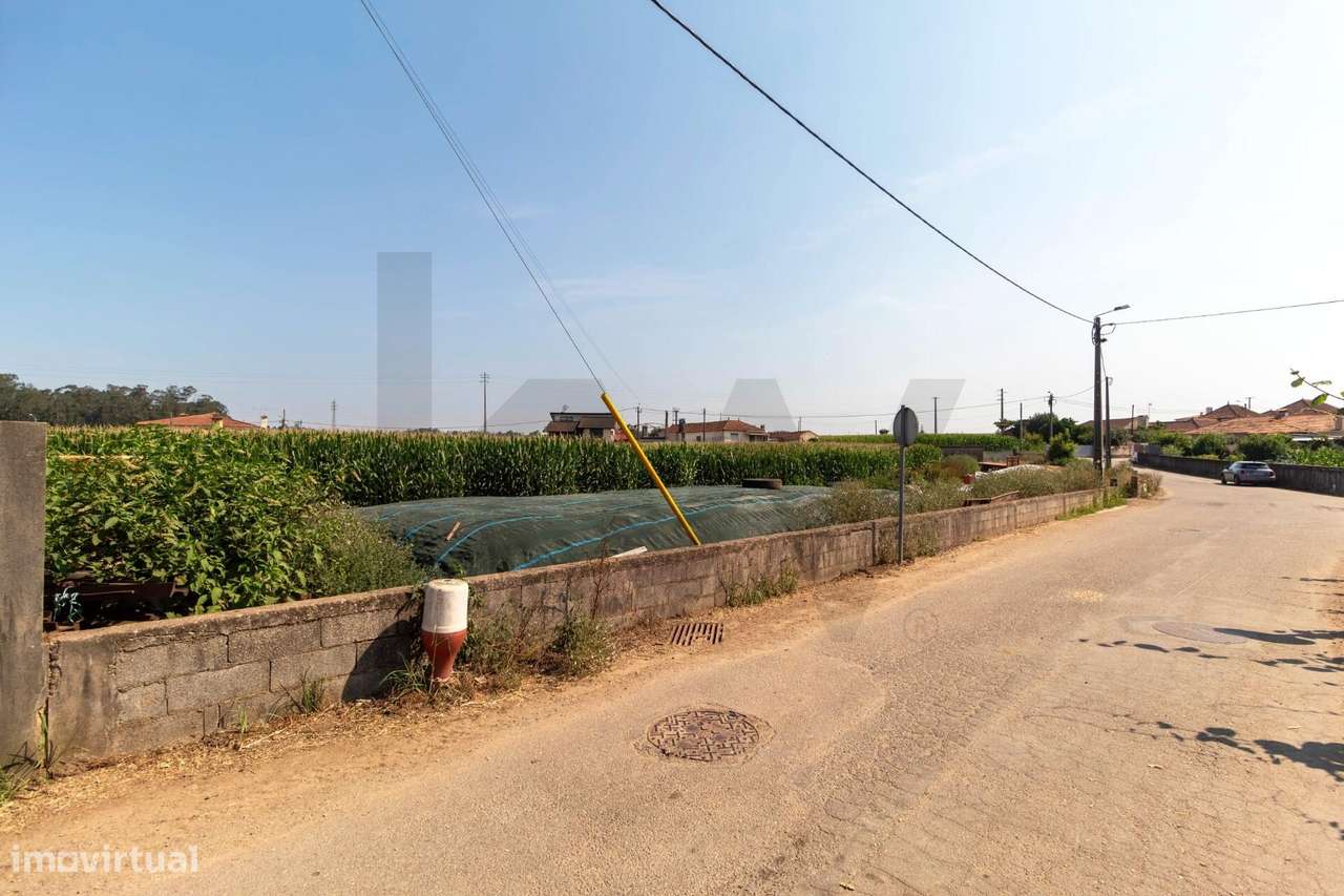 Terreno com Elevado Potencial para Investimento – Avanca, Estarreja-27