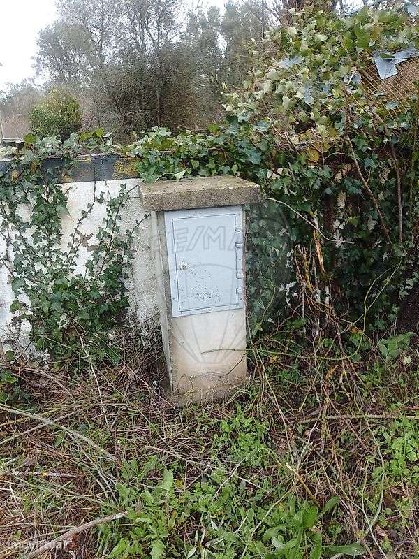 Armazém  para venda-10