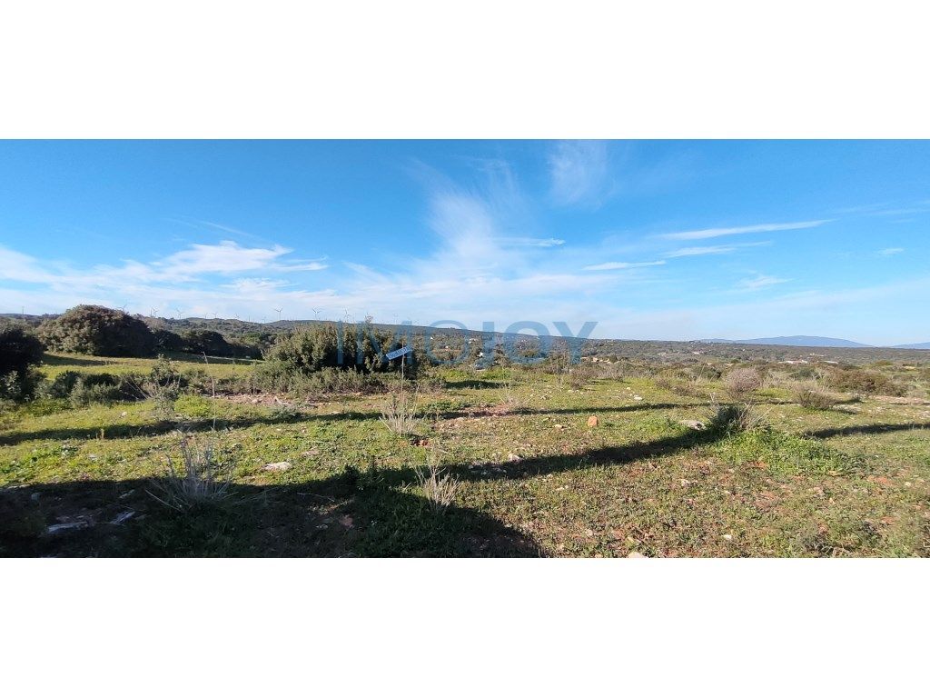 Terreno para Venda em Barão de São Miguel, Vila do Bispo