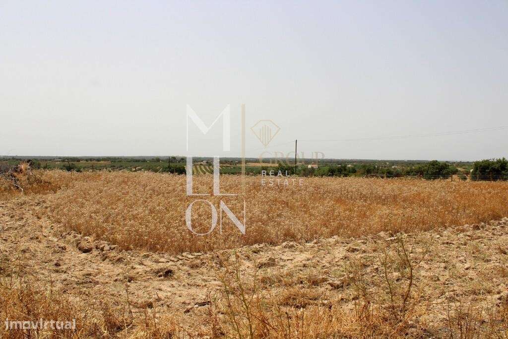 Terreno – Venda Lote de Terreno Urbano com 1278m2 - construção 319m2 e - Grande imagem: 5/13