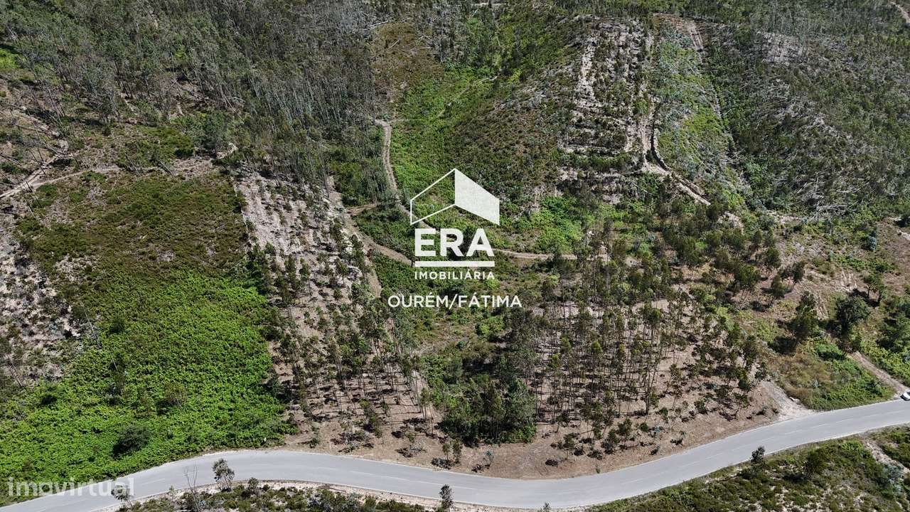 Terreno Florestal em Matas, Ourém-1
