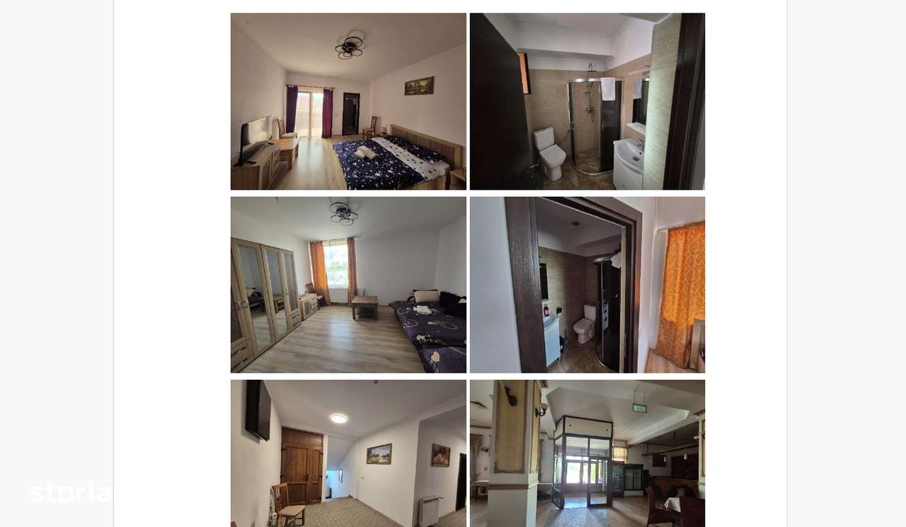 Proprietate comerciala: teren + constructie-3