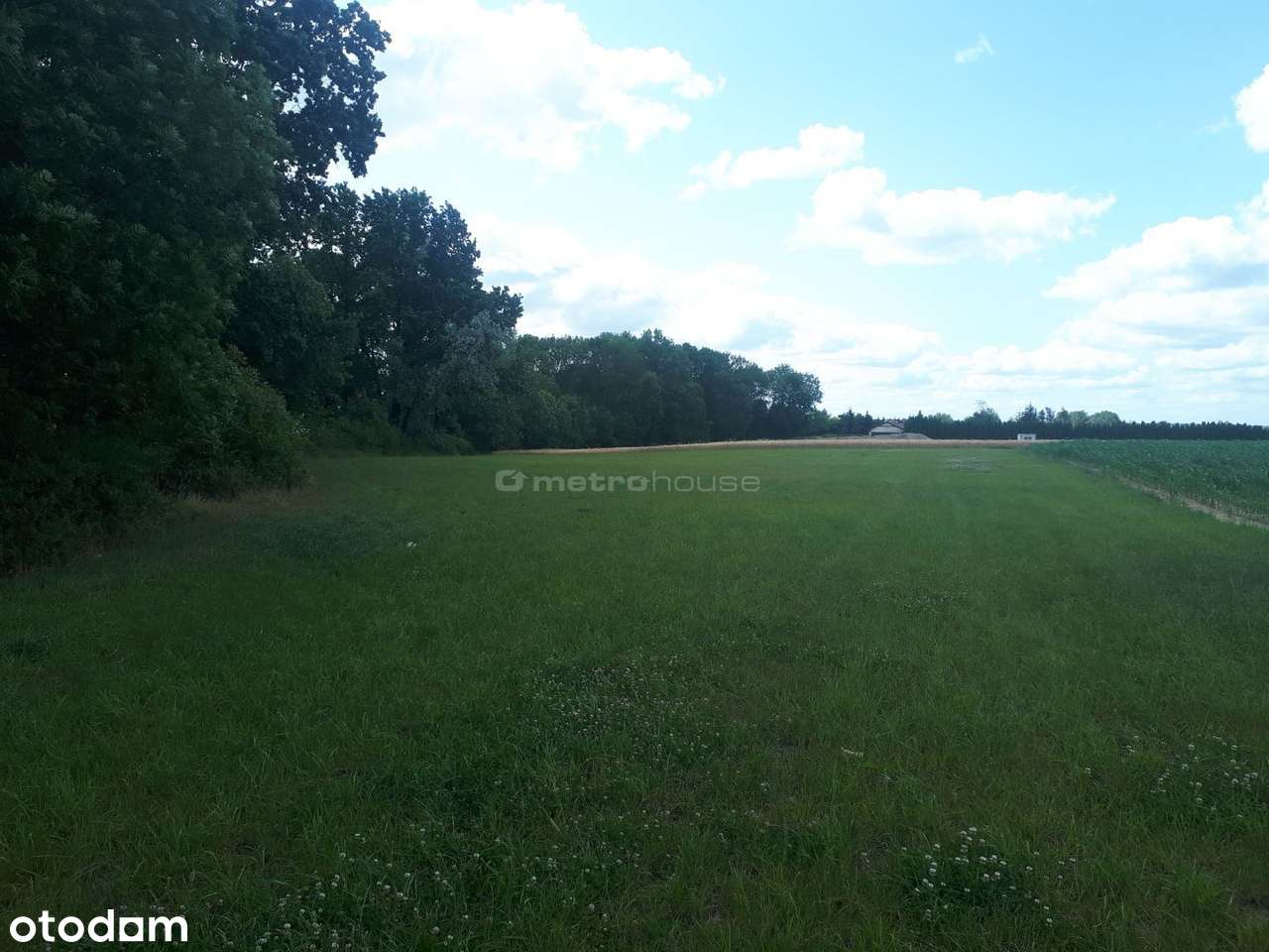 Luksusowa działka siedliskowa nad jeziorem. - Pełny obrazek: 4/6