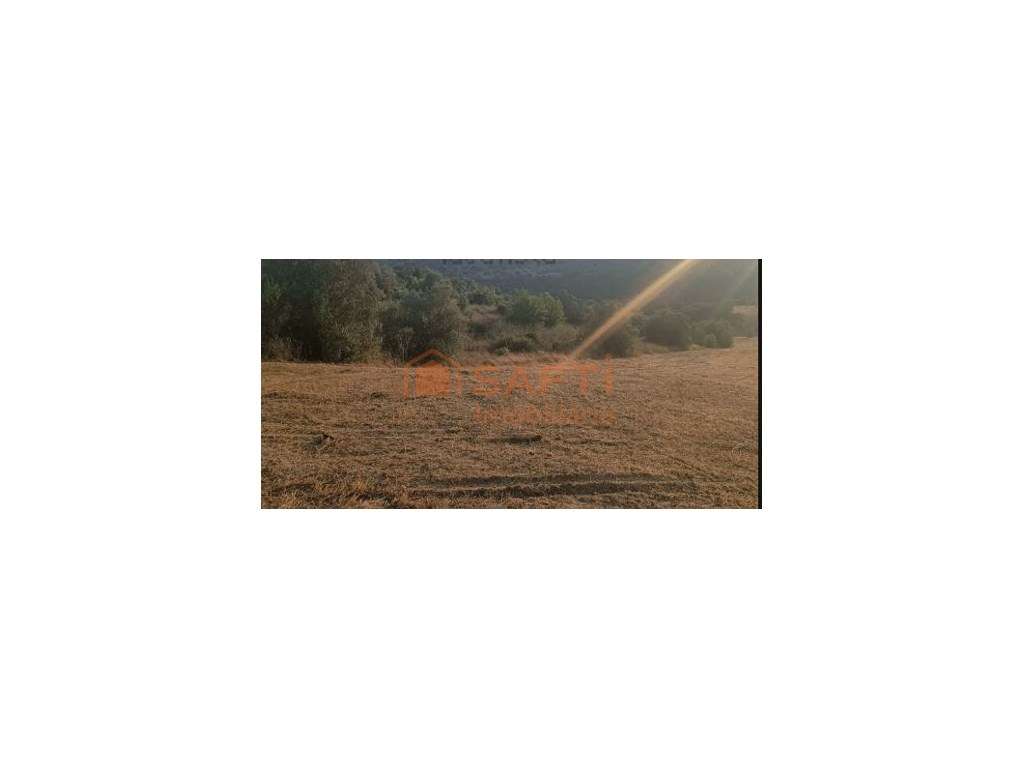 Terreno com viabilidade de construção - Santarém - Grande imagem: 5/9