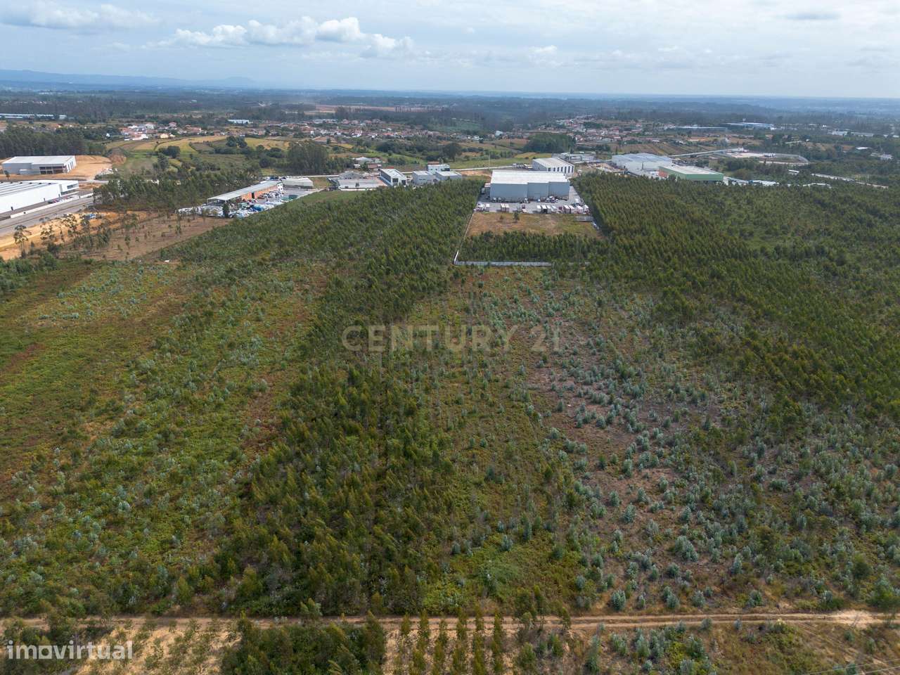Terreno em Zona Industrial com PDM Aprovado pela Câmara- Albergaria a - Grande imagem: 5/12