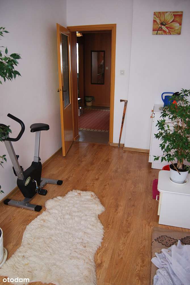 Przestronny dom z ogrodem w spokojnej okolicy - Pełny obrazek: 5/15