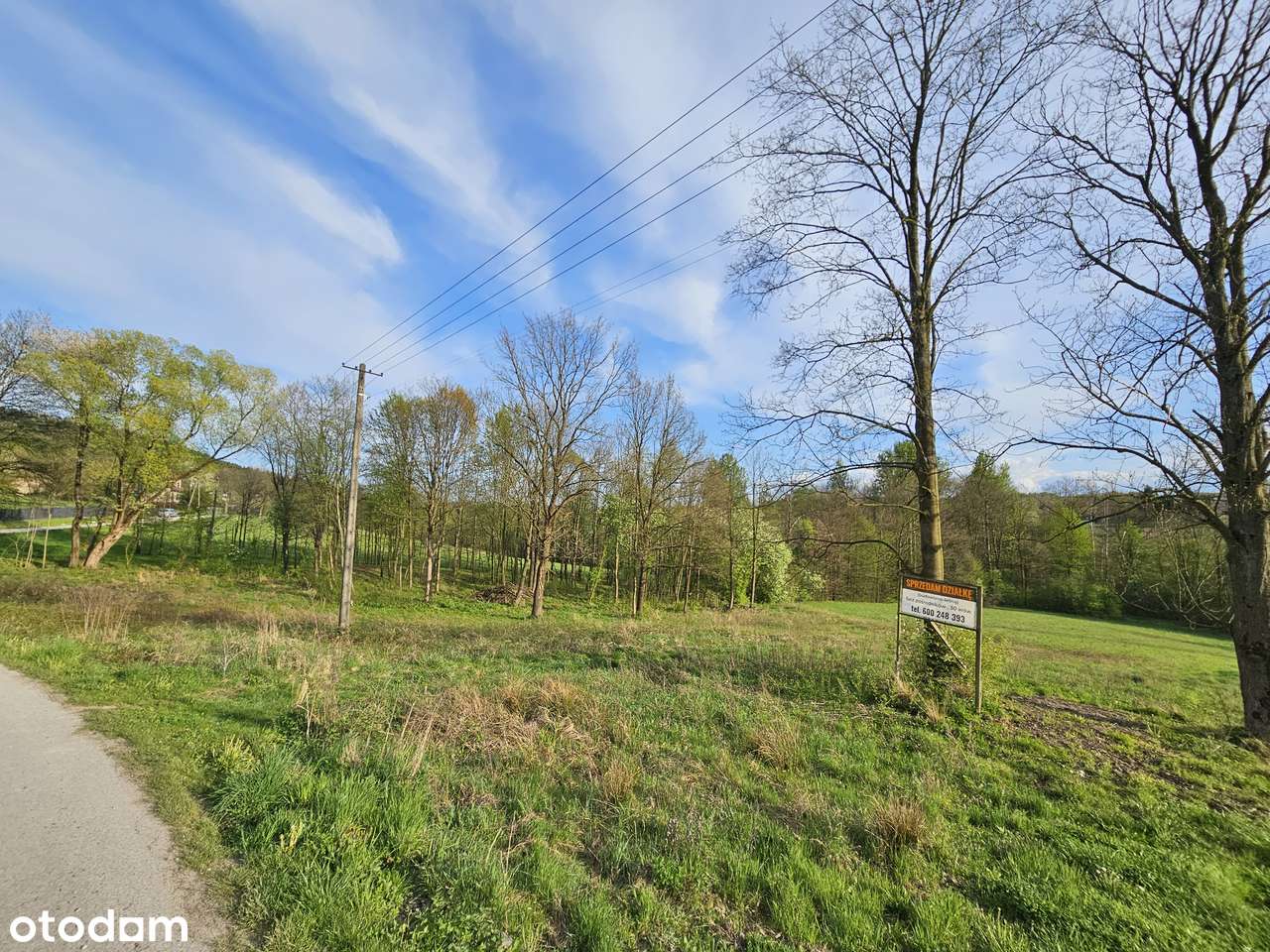 Działka bud-leśna (15arów budowlane) z pięknym widokiem pod górą Żarek - Pełny obrazek: 4/9