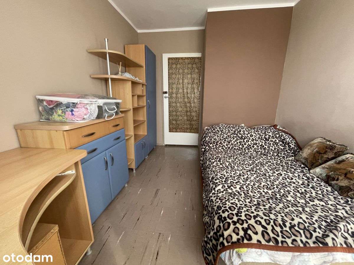 Bocianek - 2 pokoje, balkon loggia - Pełny obrazek: 5/8