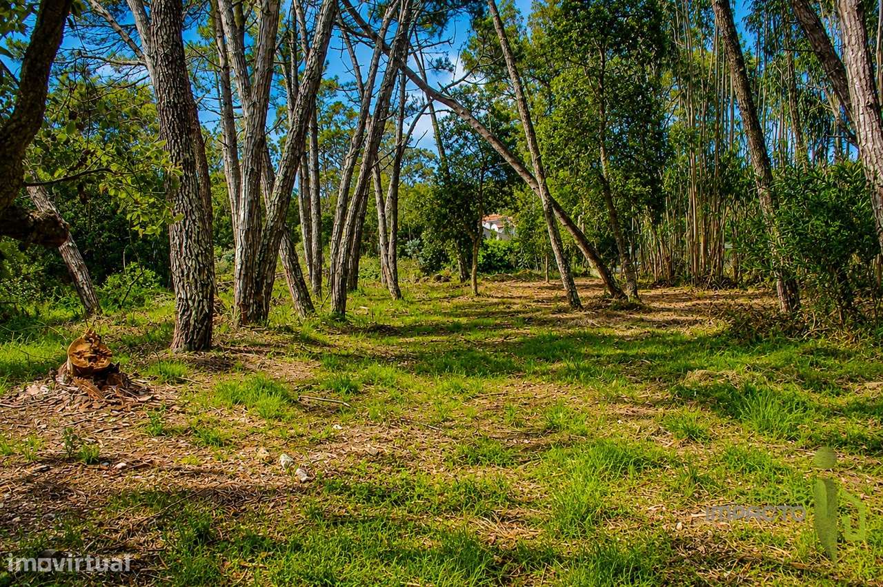 Terreno Rústico  Venda em São João das Lampas e Terrugem,Sintra-8