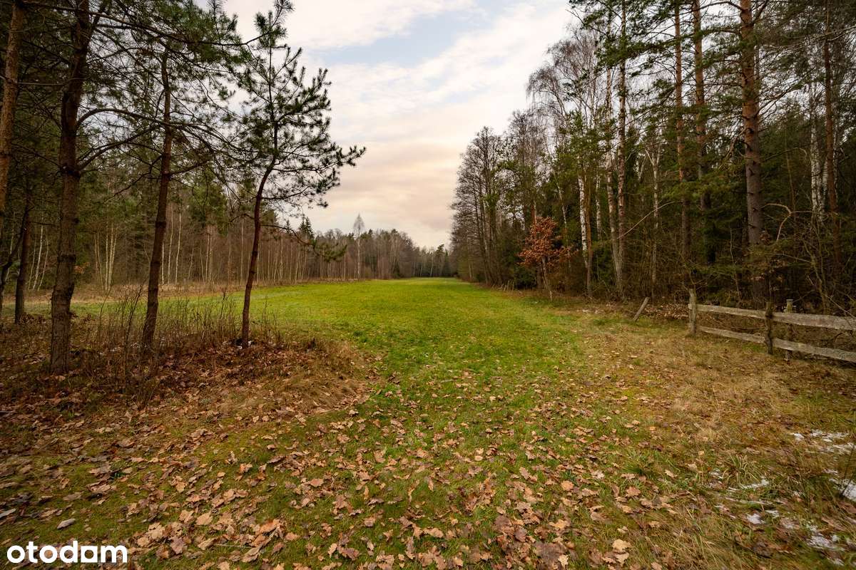 Zadbane siedlisko z charakterem tradycyjnego, podlaskiego gospodarstwa-7