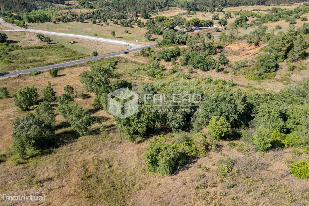 Terreno Rústico  Venda em Azoia de Cima e Tremês,Santarém - Grande imagem: 5/39