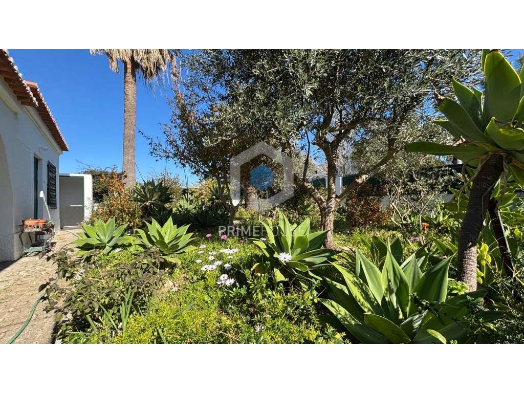 Moradia com Potencial Único para Viver ou Investir em Alvor - Algarve - Grande imagem: 3/42