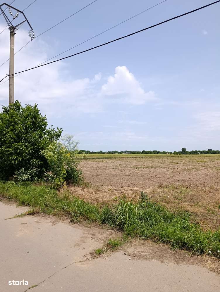 Teren 21.6ha, Ilfov-Nuci, P.U.Z. Hale, Investitie tip Greenfield.-7