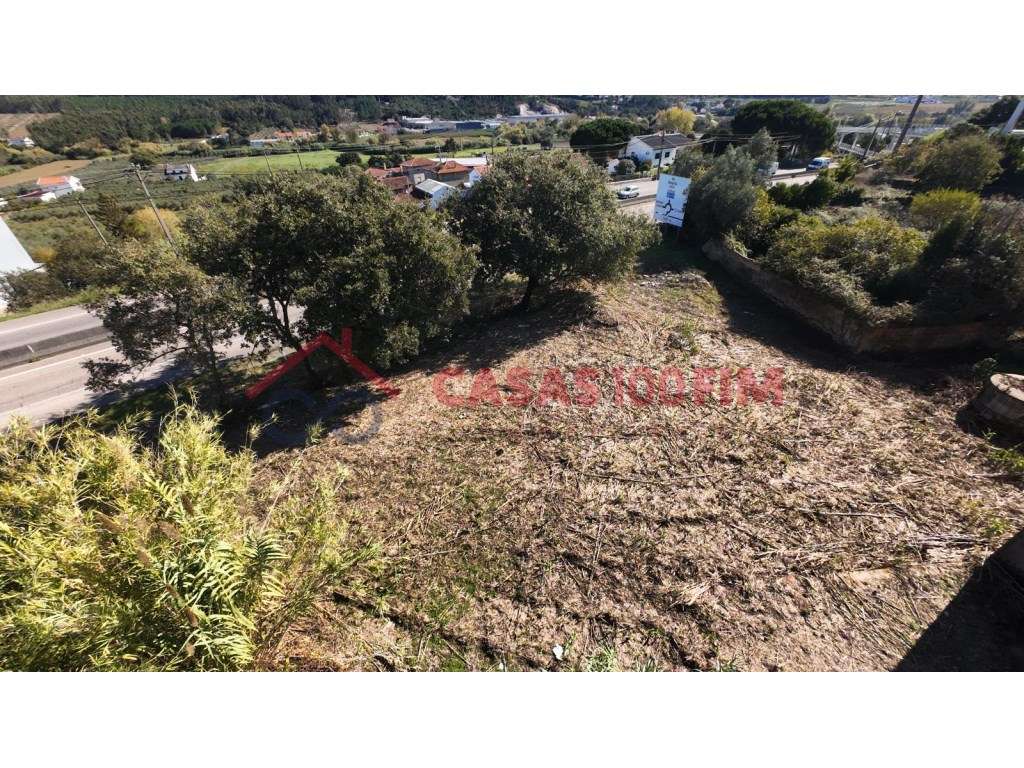 Parceiros, Azóia - Grande imagem: 5/20