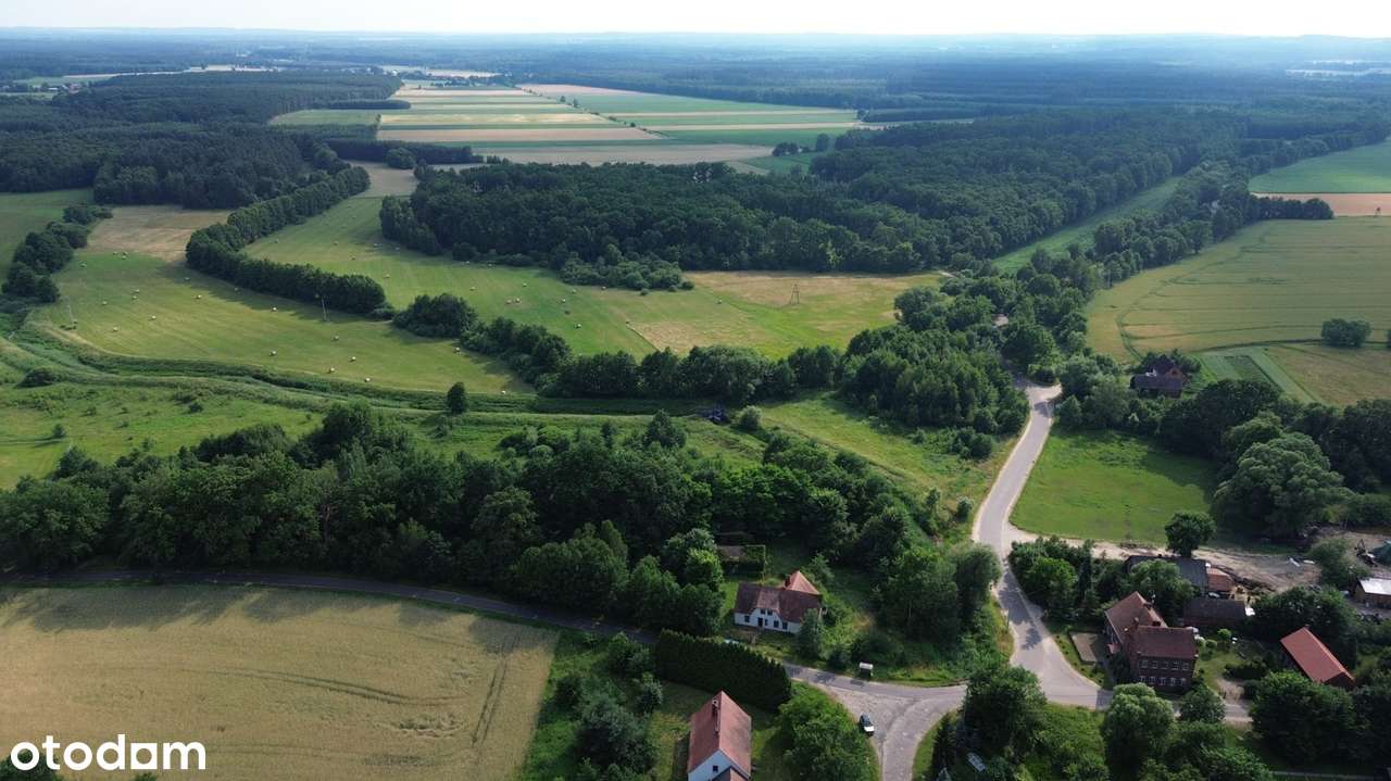 Wyjątkowa posiadłość w sercu lasu | Henrykowice k. Milicza | Dom 280 m-7