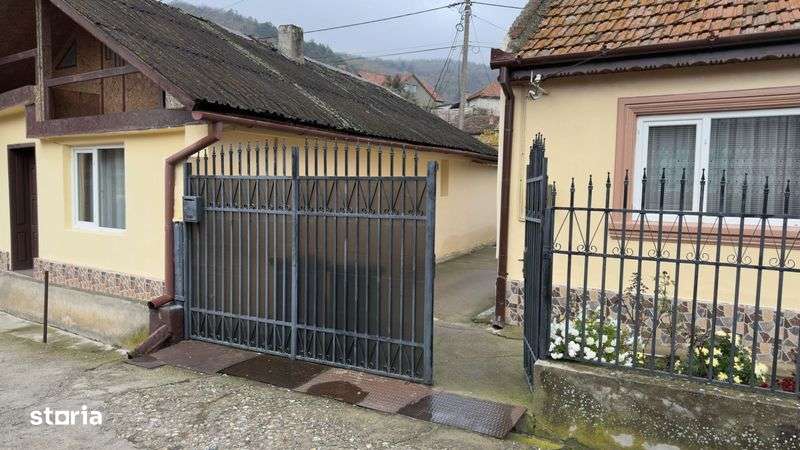 Casa de vanzare, in Moldova Noua - Imagine principală: 4/8