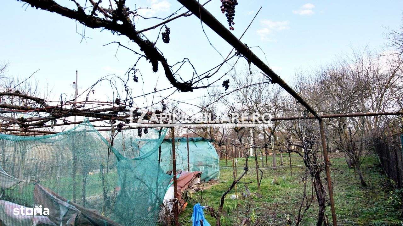 Casa 3 camere,90 mp,1300 mp teren, zona Stadion, 0% comision-7