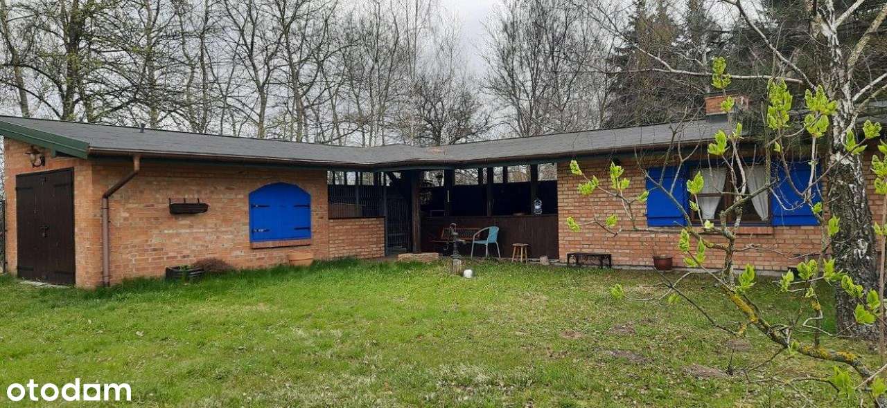 Piękna działka siedliskowa z budynkami.-13