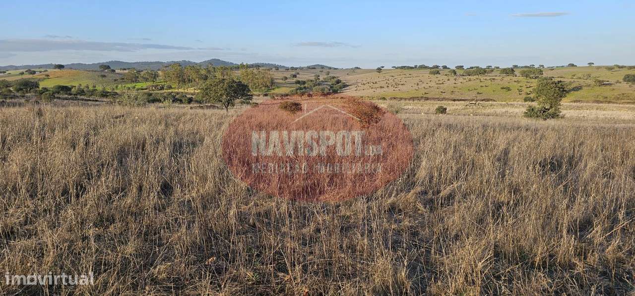 Herdade com 36 ha em Santo António do Baldio-12