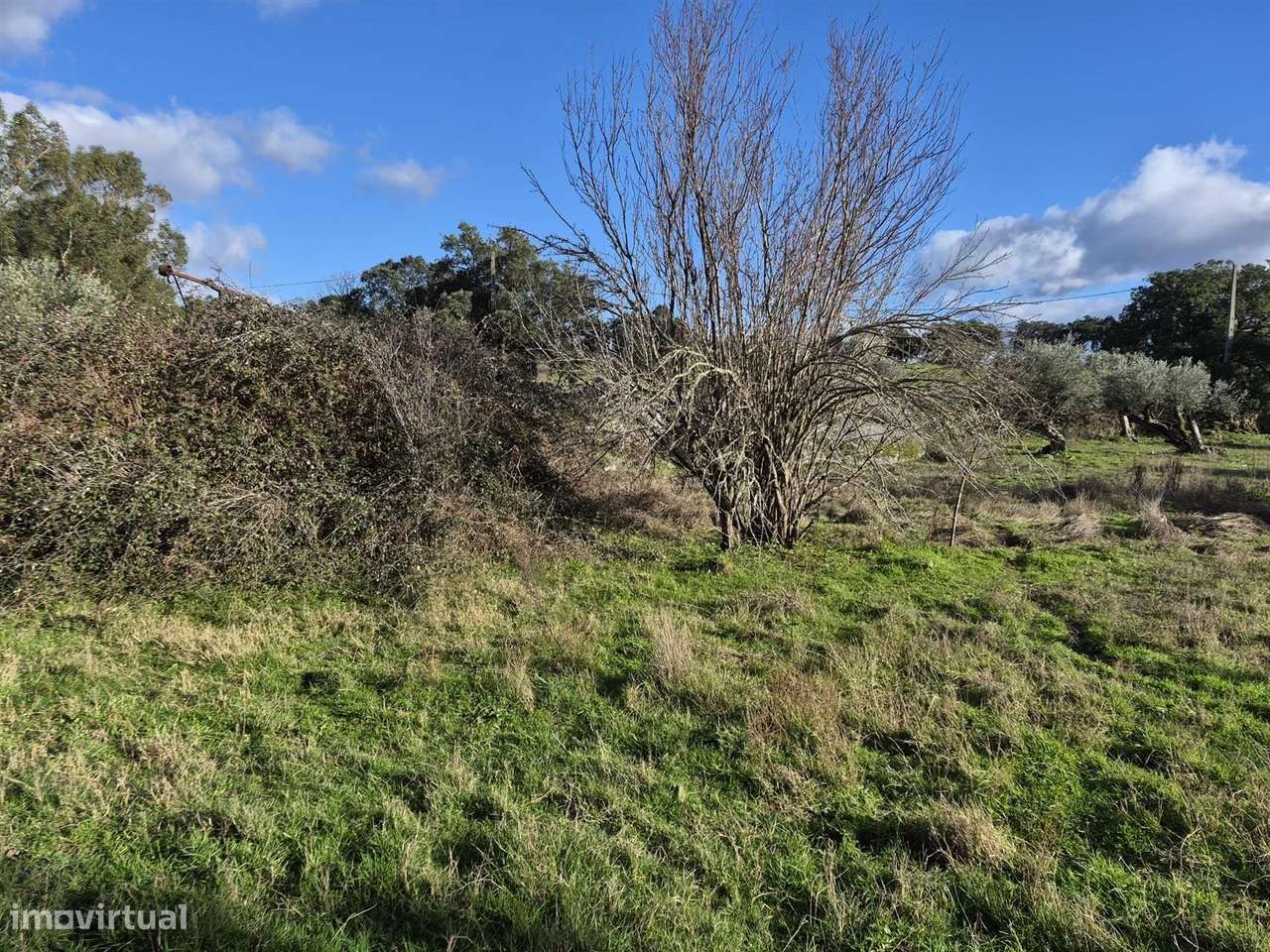 Quintinha - Grande imagem: 4/7