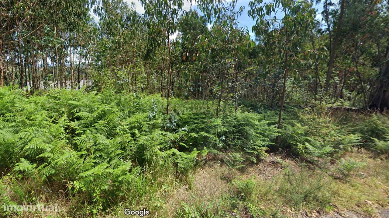 Terreno em Vila Verde com 12.955m2 - Grande imagem: 4/12