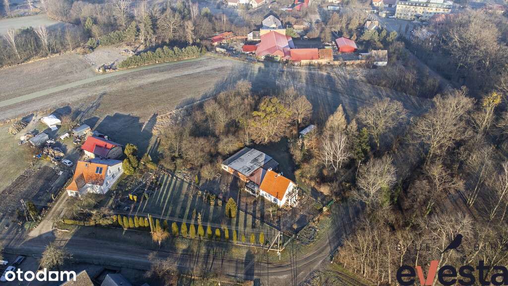 Działka budowlana | Bagno | 2800 m2 | las - Pełny obrazek: 4/7