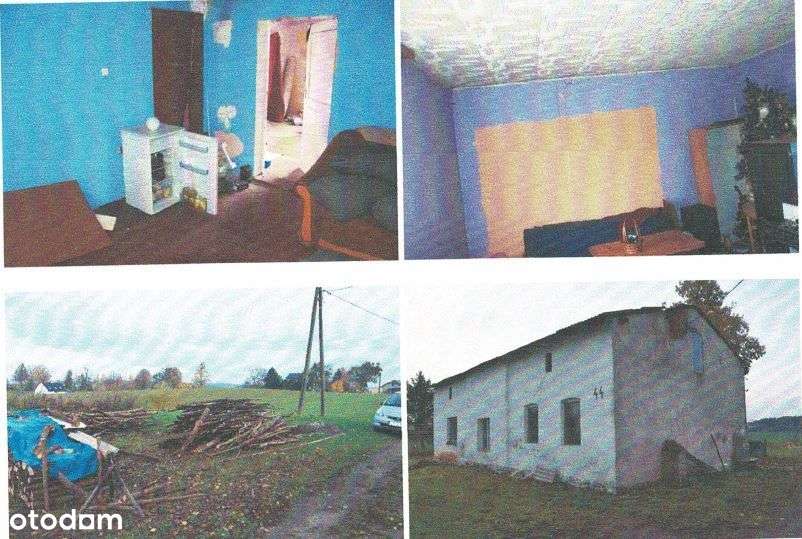 Syndyk sprzeda siedlisko - Pełny obrazek: 5/6