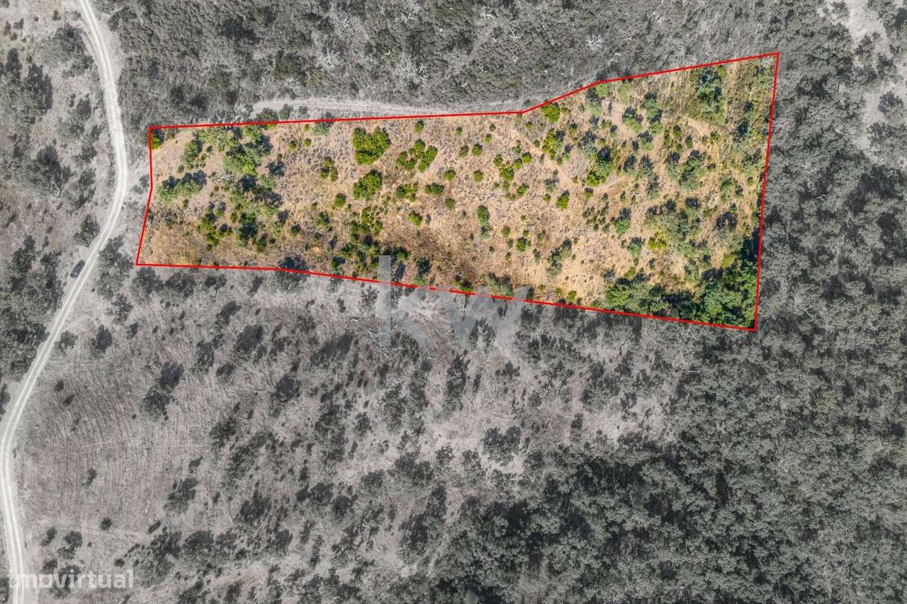 Terreno com 4750 m2 em Cepo, Querença, produção cortiça e medronhos - Grande imagem: 3/31