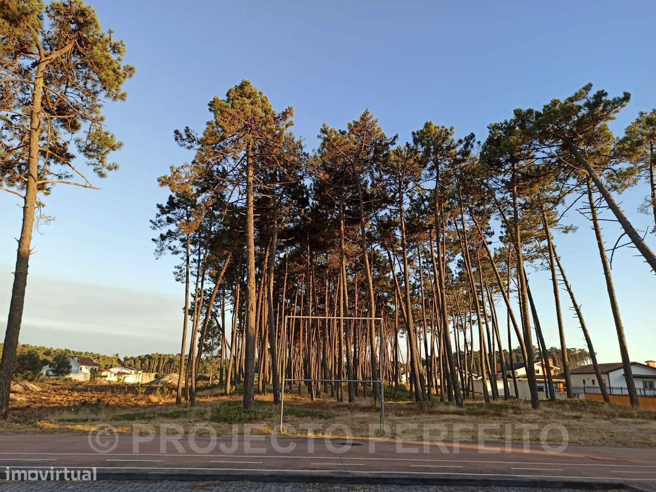 Terreno Rústico  Venda em Esmoriz,Ovar - Grande imagem: 4/6