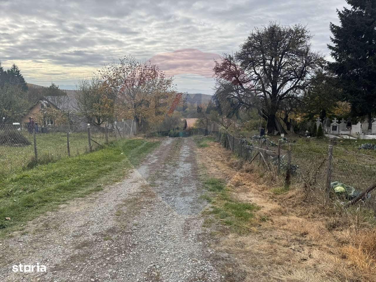 Teren de vanzare în Faget 1542 mp cu panorama-11