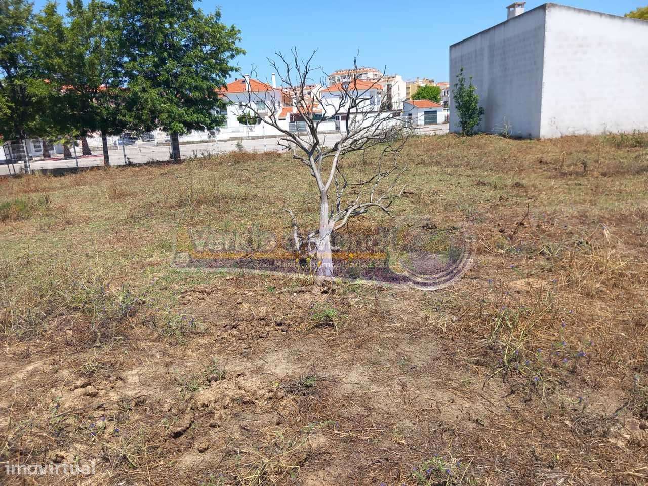 Terreno em Benavente (B544) - Grande imagem: 5/5