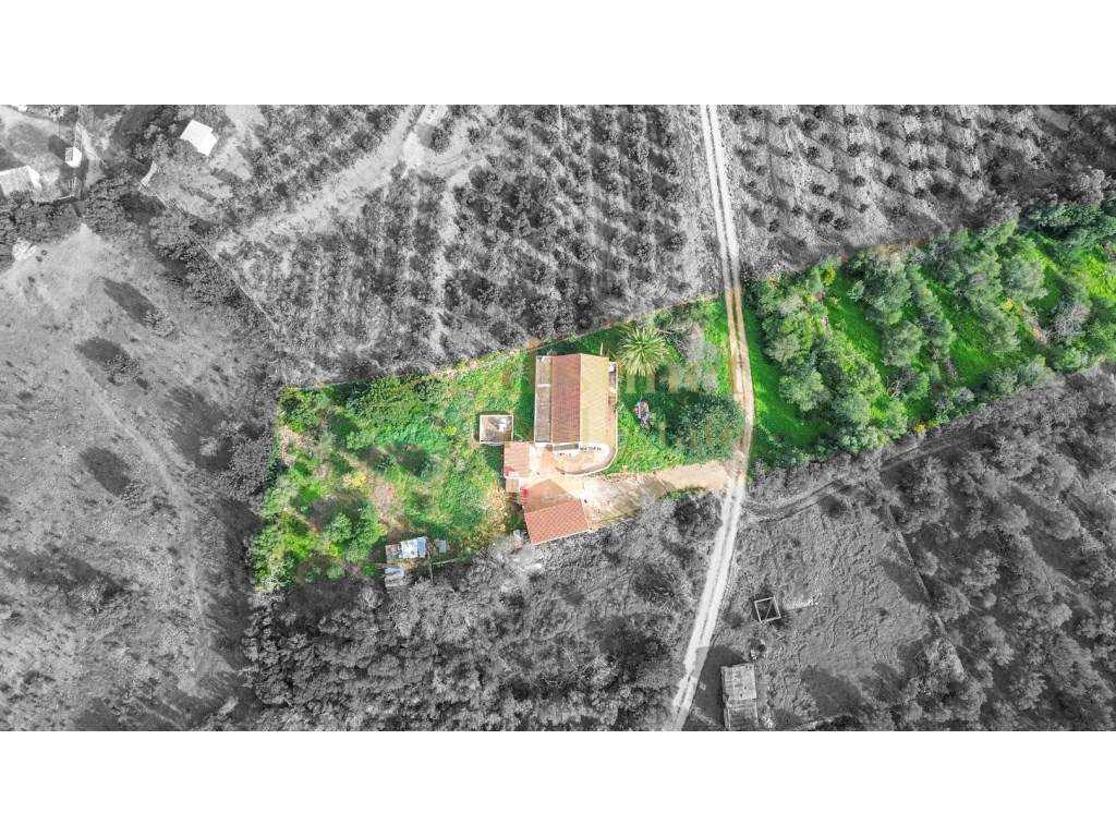 Casa de campo térrea com a necessidade de algumas obras num terreno... - Grande imagem: 5/30