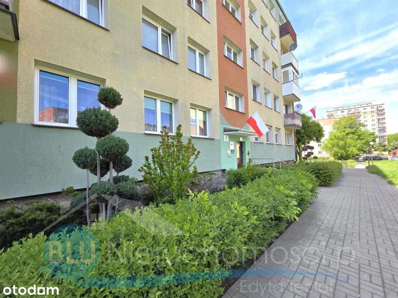 Głogów, oś Hutnik, mieszkanie 3 pok, parter-1