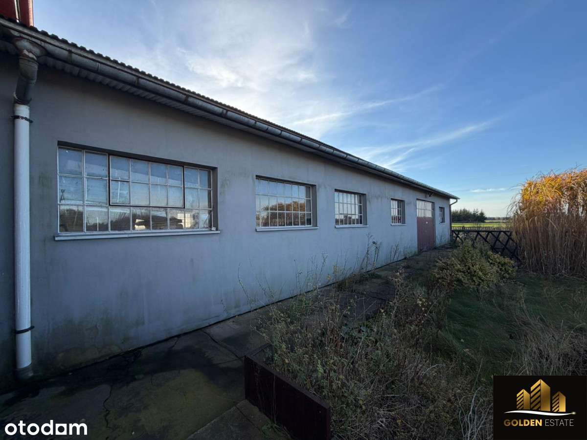 Budynek mieszkalno-usługowo-magazynowy na sprzedaż - Pełny obrazek: 5/20