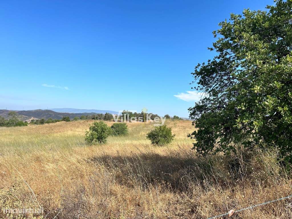 Terreno para fins agrícolas, com água e luz nas proximidades, Silve... - Grande imagem: 4/9