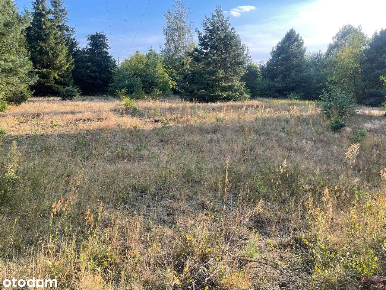 Sprzedam działkę bud-3000m-Stefanowo-gm.Lesznowola-7
