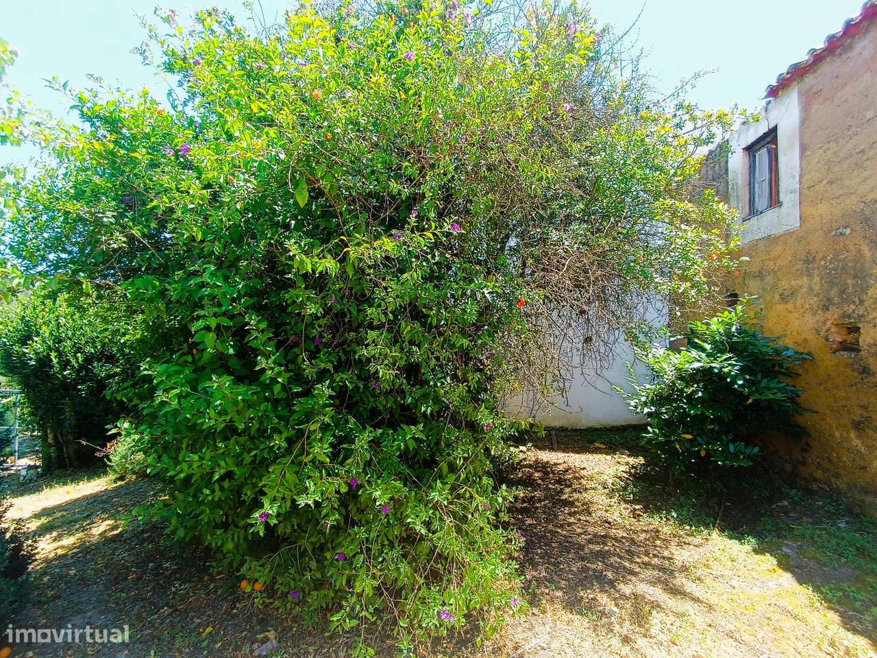 Abrantes,  Cabeça Gorda - Terrenos com Ruína – Moradia para Reconstrui-11