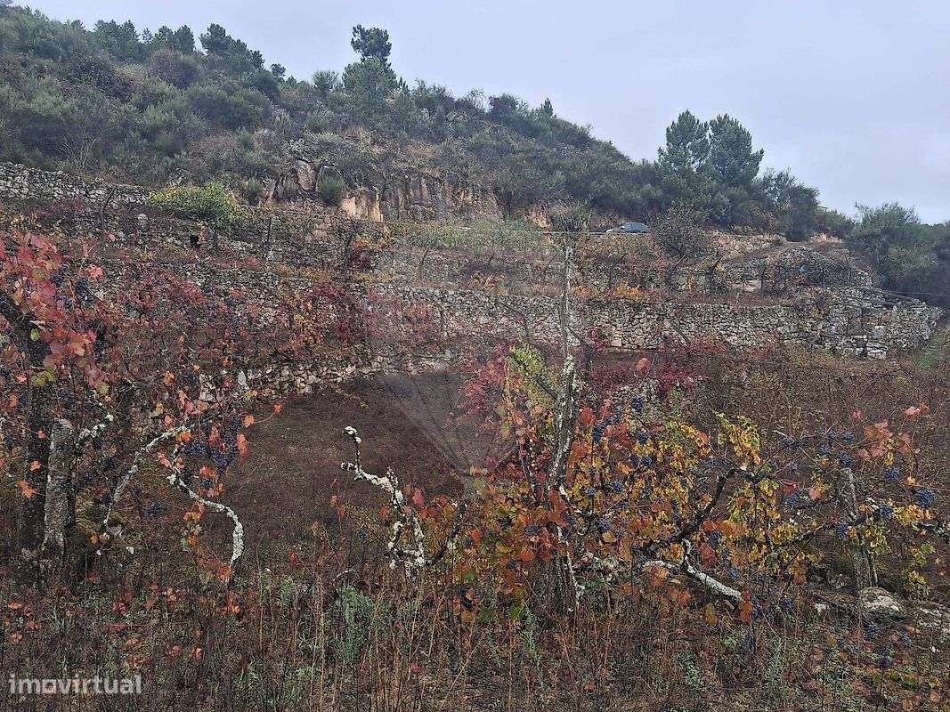 Terreno  para venda - Grande imagem: 5/8