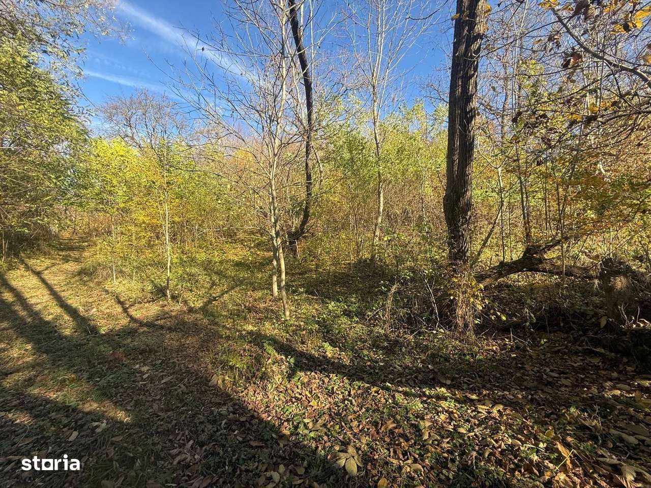 Teren langa pădure 6400mp+casa demolabila-deschidere 35 ml - Imagine principală: 5/20