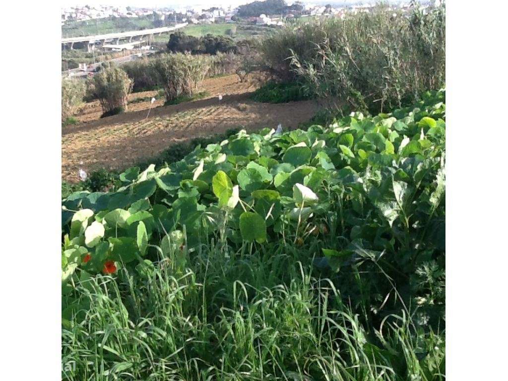 Terreno para construção com 8.800m2,  Monte Caparica perto de praias-21