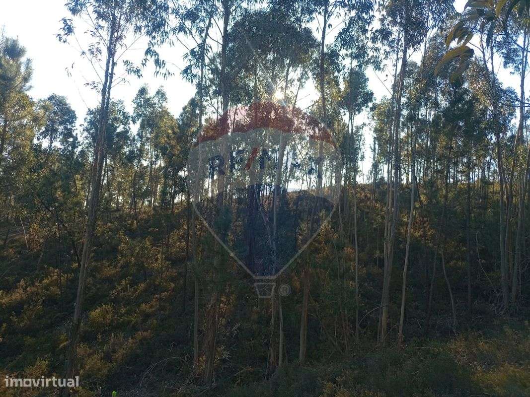 Terreno  para venda - Grande imagem: 4/8